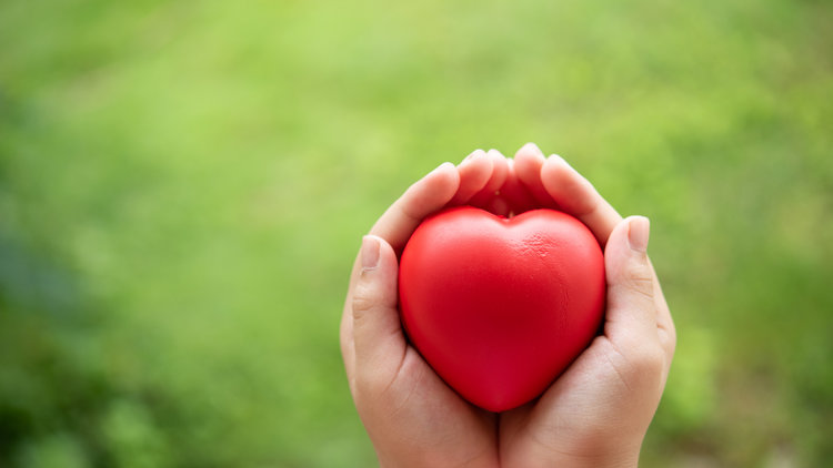 Día Mundial de la Salud 2022